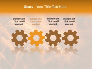 Cold Cool Industry PowerPoint Template