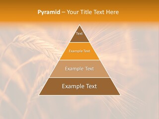 Cold Cool Industry PowerPoint Template