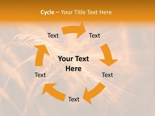 Cold Cool Industry PowerPoint Template