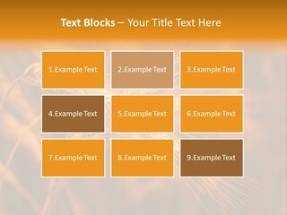 Cold Cool Industry PowerPoint Template