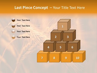 Cold Cool Industry PowerPoint Template