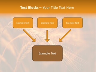 Cold Cool Industry PowerPoint Template