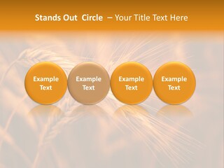 Cold Cool Industry PowerPoint Template