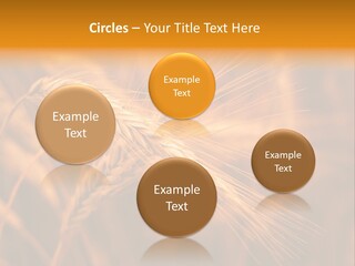 Cold Cool Industry PowerPoint Template