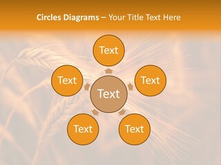 Cold Cool Industry PowerPoint Template