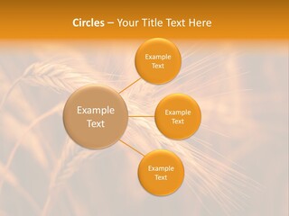 Cold Cool Industry PowerPoint Template