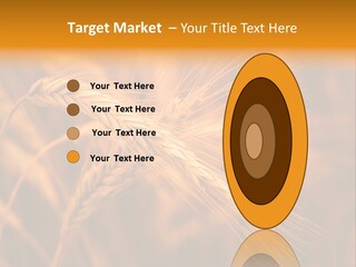 Cold Cool Industry PowerPoint Template