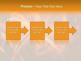Cold Cool Industry PowerPoint Template