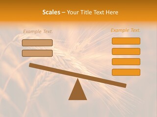 Cold Cool Industry PowerPoint Template