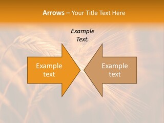 Cold Cool Industry PowerPoint Template