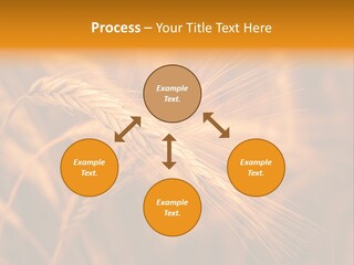 Cold Cool Industry PowerPoint Template