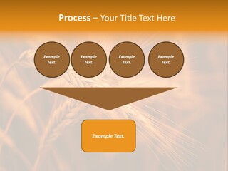 Cold Cool Industry PowerPoint Template