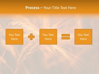 Cold Cool Industry PowerPoint Template
