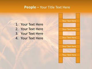 Cold Cool Industry PowerPoint Template