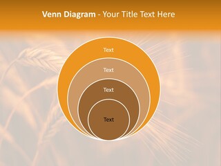 Cold Cool Industry PowerPoint Template