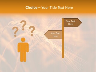 Cold Cool Industry PowerPoint Template