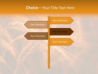 Cold Cool Industry PowerPoint Template