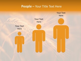 Cold Cool Industry PowerPoint Template