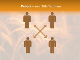 Cold Cool Industry PowerPoint Template