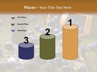 Condition House Equipment PowerPoint Template
