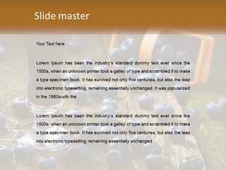 Condition House Equipment PowerPoint Template