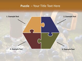 Condition House Equipment PowerPoint Template