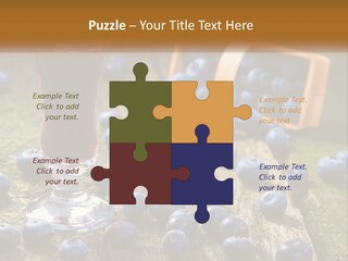 Condition House Equipment PowerPoint Template