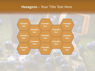 Condition House Equipment PowerPoint Template