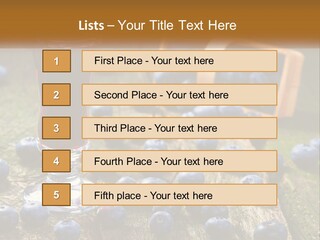 Condition House Equipment PowerPoint Template
