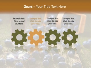 Condition House Equipment PowerPoint Template