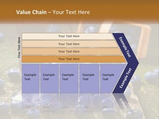 Condition House Equipment PowerPoint Template