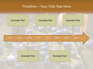 Condition House Equipment PowerPoint Template