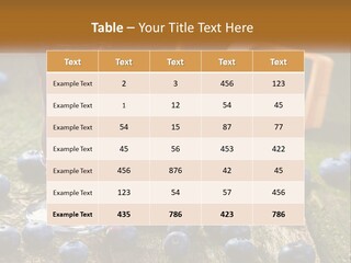 Condition House Equipment PowerPoint Template
