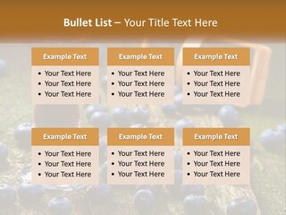 Condition House Equipment PowerPoint Template