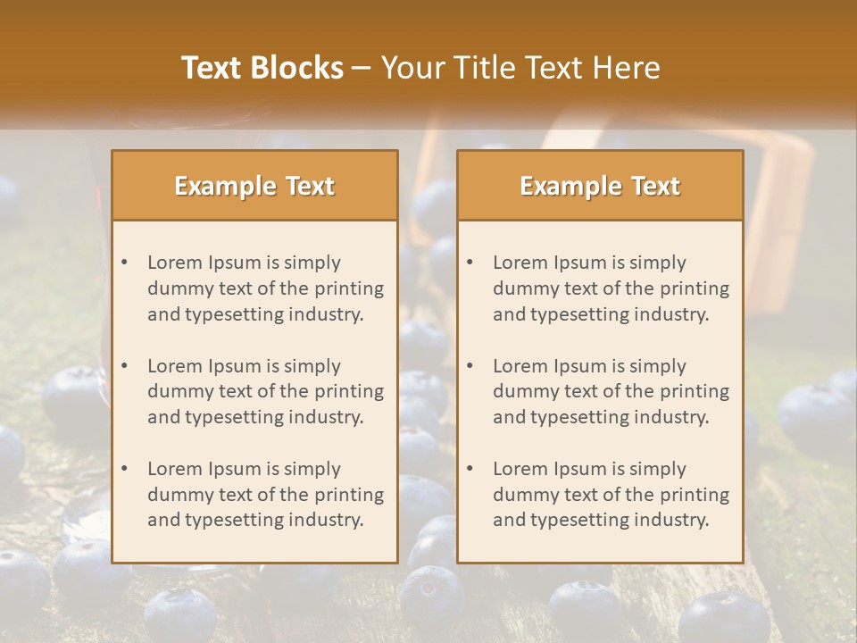 Condition House Equipment PowerPoint Template