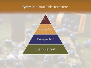 Condition House Equipment PowerPoint Template