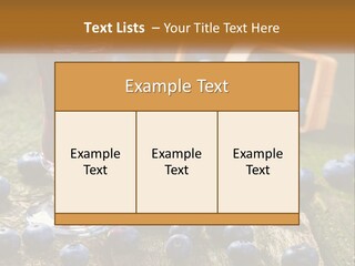 Condition House Equipment PowerPoint Template