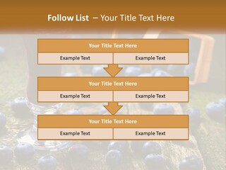 Condition House Equipment PowerPoint Template