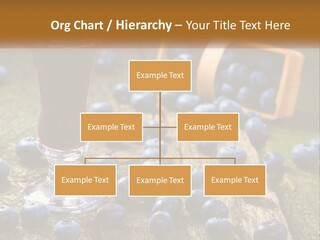 Condition House Equipment PowerPoint Template