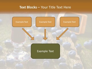Condition House Equipment PowerPoint Template