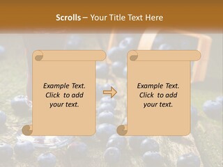 Condition House Equipment PowerPoint Template
