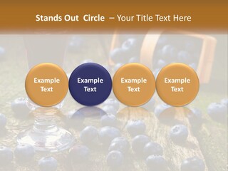 Condition House Equipment PowerPoint Template