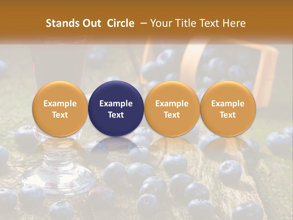 Condition House Equipment PowerPoint Template