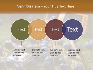 Condition House Equipment PowerPoint Template