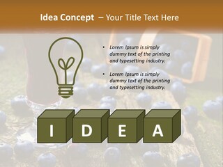 Condition House Equipment PowerPoint Template