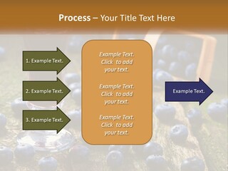 Condition House Equipment PowerPoint Template
