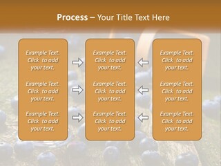 Condition House Equipment PowerPoint Template