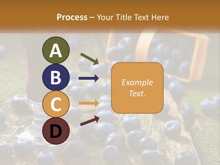 Condition House Equipment PowerPoint Template