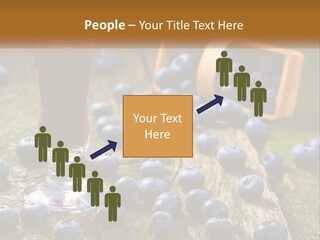 Condition House Equipment PowerPoint Template