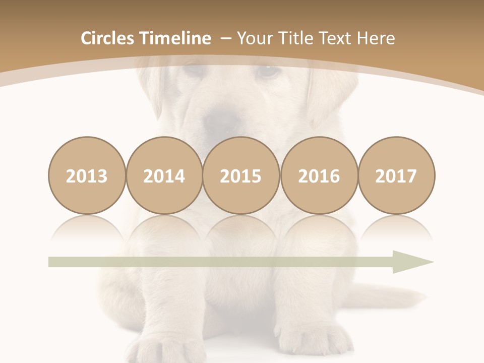 Supply Unit Temperature PowerPoint Template